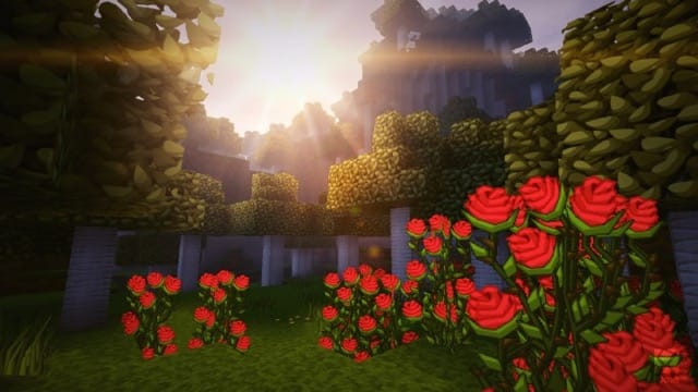 PureBDCraft_02